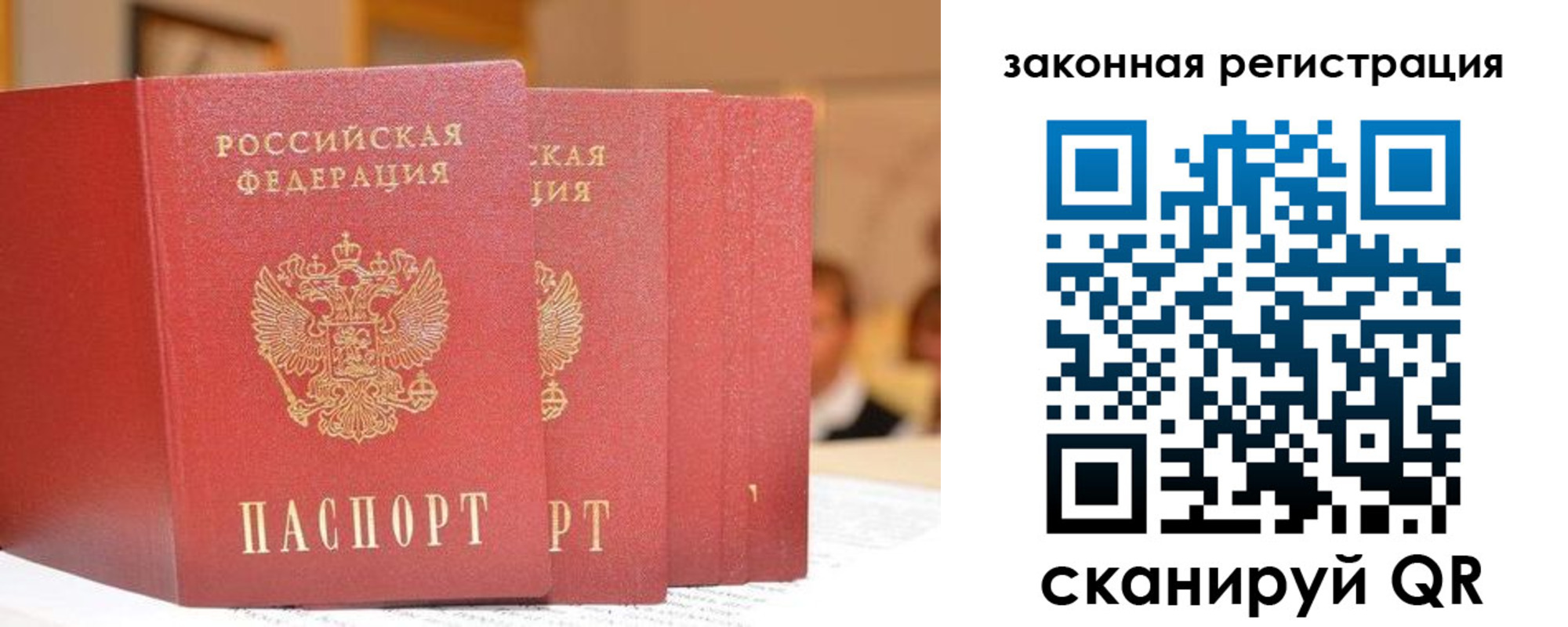 прописка поиск в Балашове
